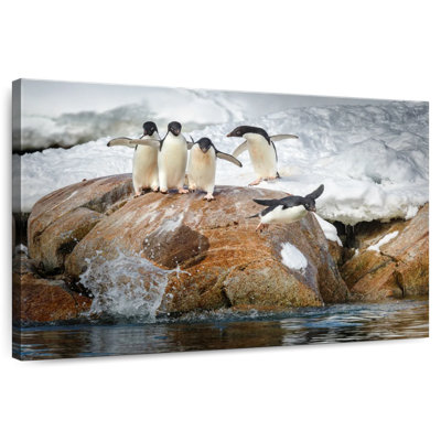 Pingouins plongeant dans l'eau