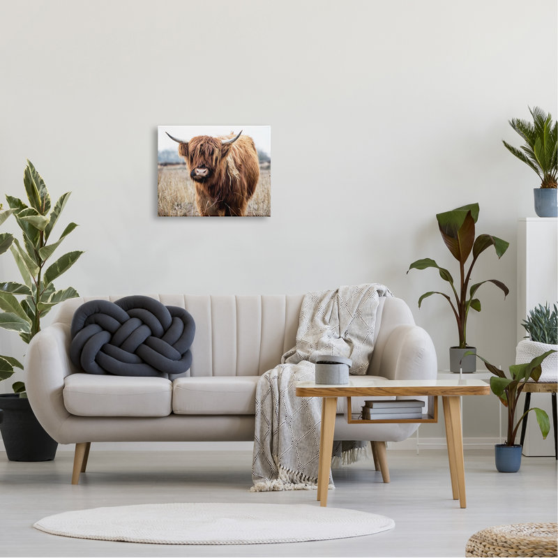Portrait de bovins qui broutent des cornes par Amy Brinkman, L 20 po x H 16 po, Toile tendue