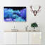 Neon Coral In Abstract - Wrapped Canvas-55312303