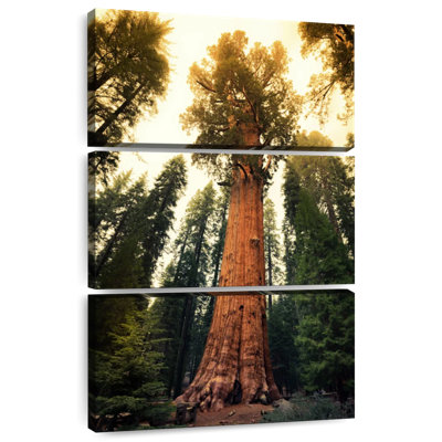 Alvord Twilight Sequoia National Park