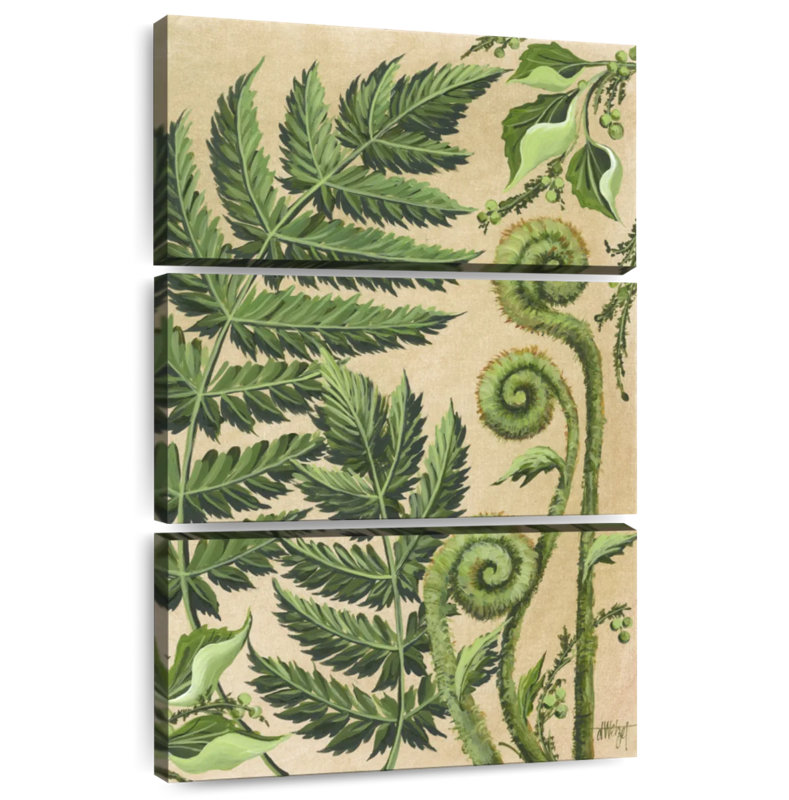 Harnek Various Ferns