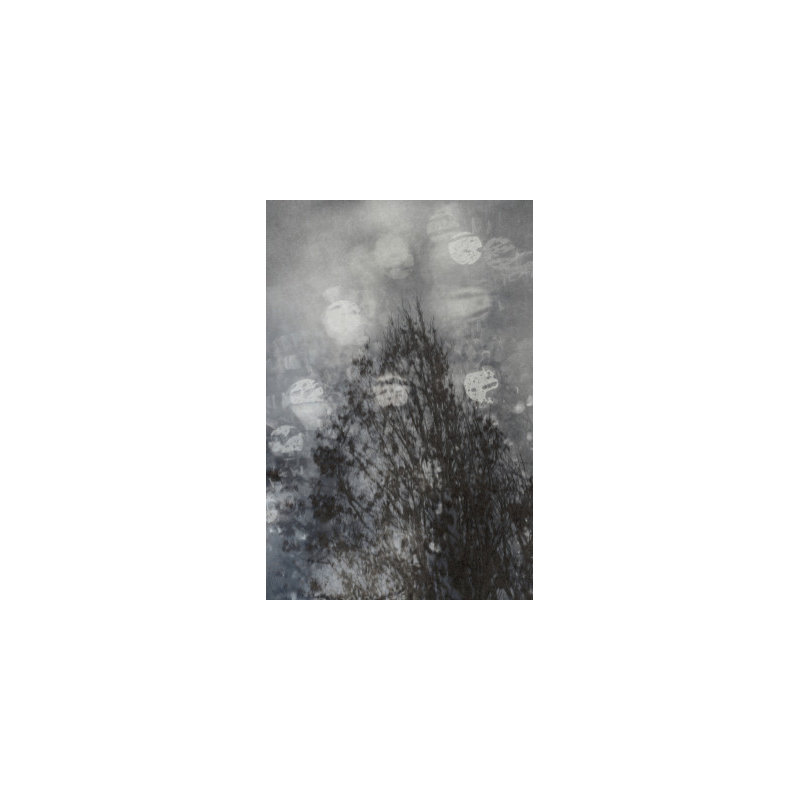 Wrapped Canvas Print, 76.2 cm H x 50.8 cm W