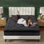 Matelas hybride à ressorts ensachés 10 po-1600803588