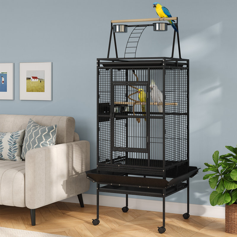 Spacieuse cage de perroquet en fer forgé de 67 po avec support roulant et surface de jeu - cage à oiseaux durable, Noir