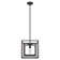 Doherty Convertible 1 - Light Pendant 12 Inch Ceiling Light Fixture