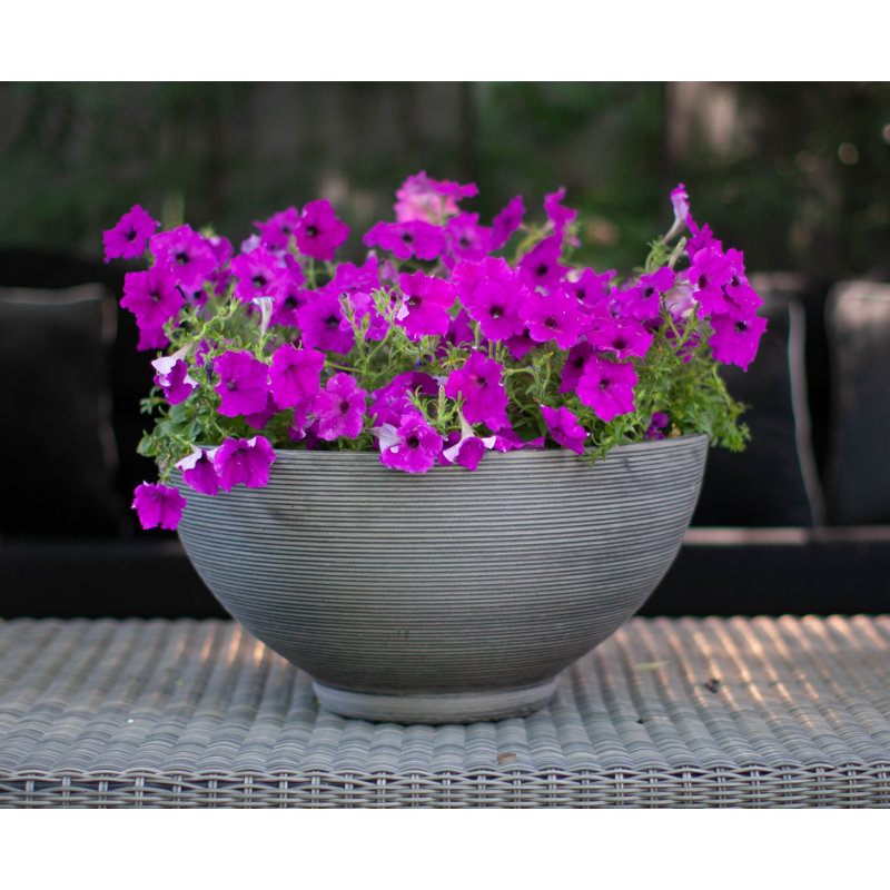 Pot à fleurs 20 po, Anthracite