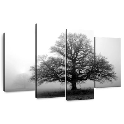 Harnek Tree In Mist