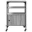 76cm H x 50cm W Printer Stand-1606943533