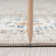 Deundre Oriental Indoor Rug