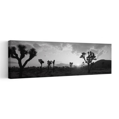 Coucher de soleil, Joshua Tree Park, Californie, États-Unis, abstrait coloré, paysage de cactus contemporain, art mural
