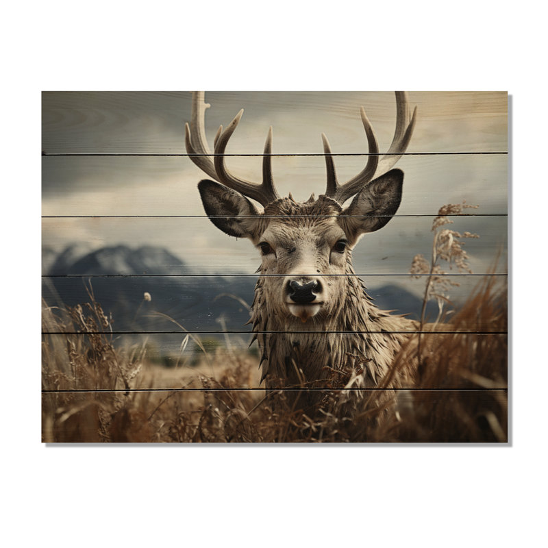 Chevreuil, photographie monochrome III sur bois, H 10 po x l 20 po x P 0,78 po