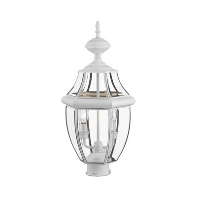 Arelene Lantern Head