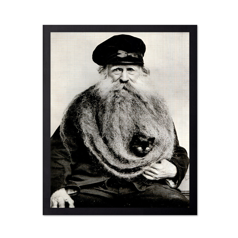 Chat en barbe, Cadre noir, Affiche, H 08 po x l 10 po