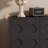 Black Manufactured wood Shoe Storage