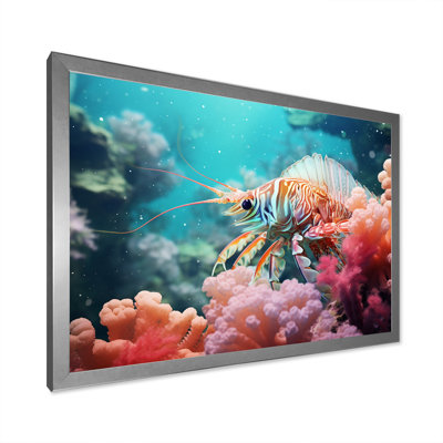 " Mantis Shrimp Dance I "