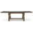 Danely Extendable Dining Table