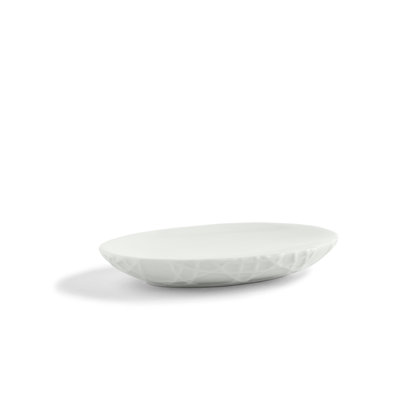 Plat Moller