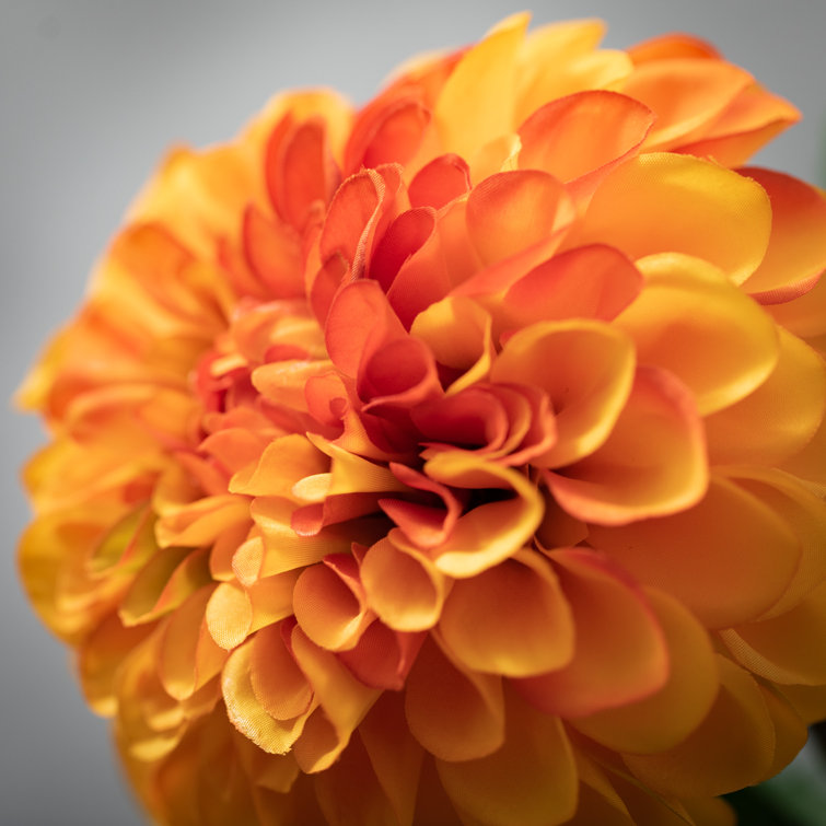 Dahlia Sprays Primrue Flowers/Leaves Color: Orange