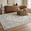 Tapis oriental gris / beige à motif de tapis d'intérieur / contemporain de 5 pi x 8 pi (5 pi 3 po x 7 pi 7 po) Branch Branch de Rasan-1464407931