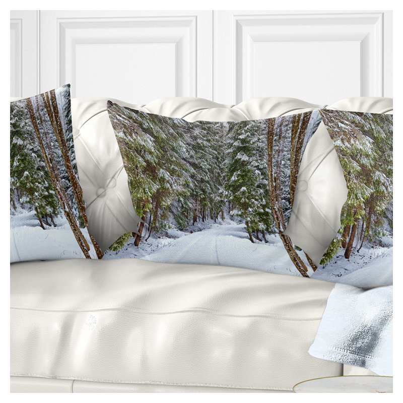 Coussin Schafer, 16 po x 1 po, Coussin décoratif