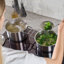 Ensemble 9 pièces en acier inoxydable avec couvercle en verre Fissler Pure Collection