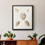 Toile encadrée Pastel Knorr Shells VI - prête à accrocher-141858855-141858851