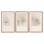 Breath Drawing Triptych By Adrián White-2033924486