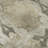 Premium Machine Washable Cerrito AMF564 Beige Rug-104100171