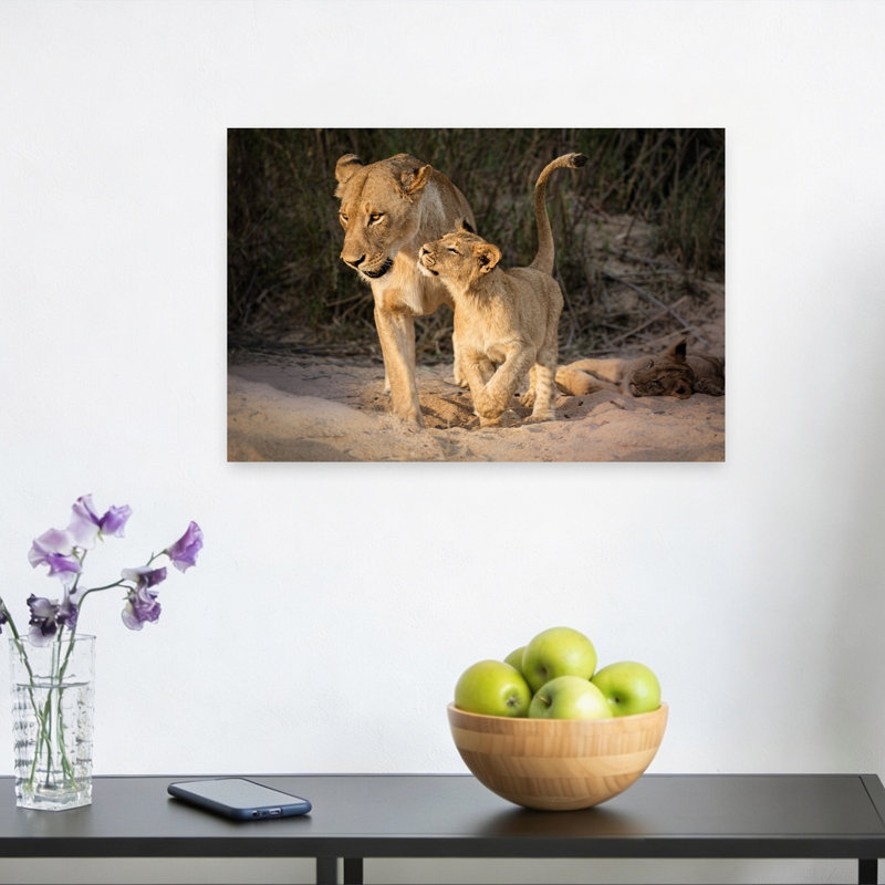 «Gentle Lioness Cub Serene Contemporary Cat Lion Landscape Nature», reproduction d'art murale