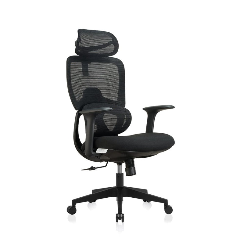 Saif Polyester Office Chair with Headrest, Black
