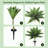 Artificial Agave Succulent Plants