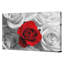 1 Piece Wrapped Canvas Wall Art