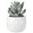 4.3'' Faux Succulent in Ceramic Pot