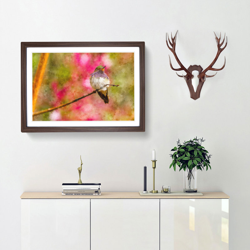 Hummingbird - Picture Frame Graphic Art Print, Walnut Framed, 62cm H x 87cm W x 2cm D