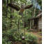 Piquet de jardin en métal Iolanda Luster
