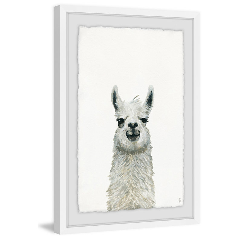 «Llama Close-up», reproduction encadrée, H 45 po x l 30 po x P 1,5 po, Blanc