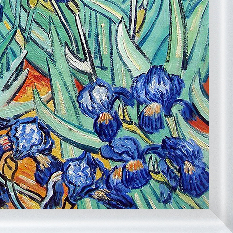 « irises » par vincent van gogh, reproduction d’image sur toile, H 22,75 po x l 26,75 po x P 2 po, Arrondi blanc moderne