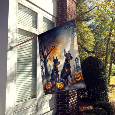 Double Sided 40'' H x 28'' W Polyester Halloween House Flag