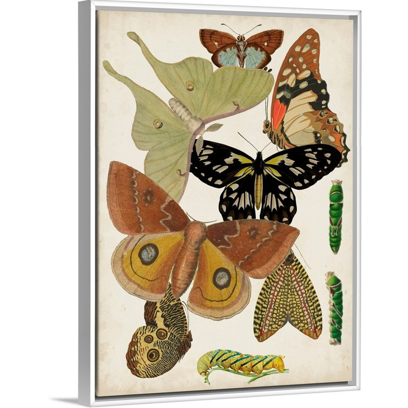 Décoration murale pour enfants papillons, Cadre pour toile flottant blanc, H 24 po x l 18 po x P 1,2 po