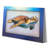 Coastal Wall Decor-439800822