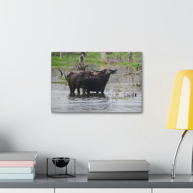 No Frame Print on Canvas, 12cm H x 16cm W
