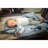 hauck Sleep N Play Go Plus Foldable Travel Bed and Playpen with Mattress-100919409