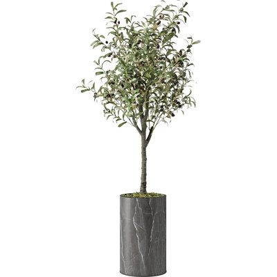 45 po olivier artificiel en pot