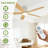 Modern 52" Flush Mount Ceiling Fan with Dimmable LED Light – Quiet Reversible DC Motor – 3-Color Temperature – Remote Control – Energy Efficient – Matte Black/Walnut Blades – Bedroom-1051404317