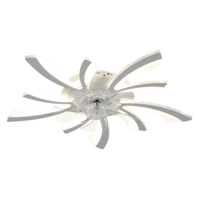 Ceiling Fan with LED Lights