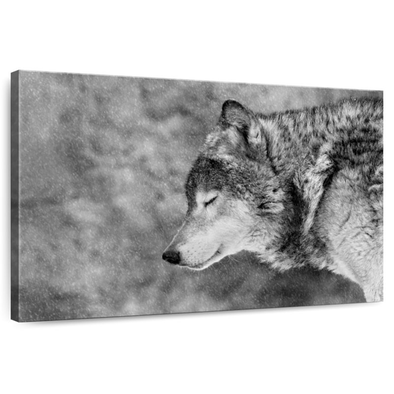 Brampt Let It Snow I, 8" H x 12" W
