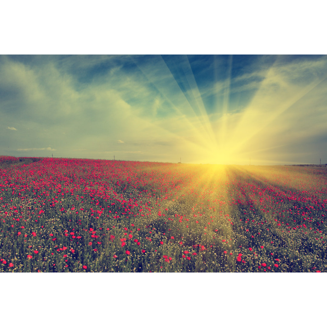 Leinwandbild Vintage Photo Of Poppy Field In Sunset