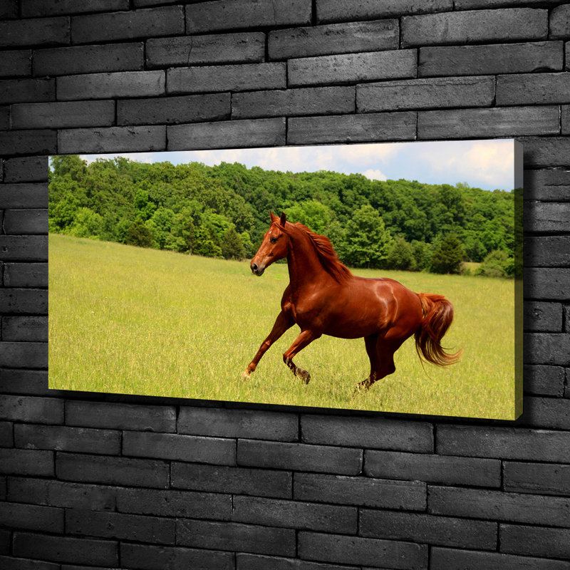 Horse On The Meadow - No Frame Print on Canvas