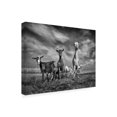 Bolog Novica Stankovic The Goats Canvas Art
