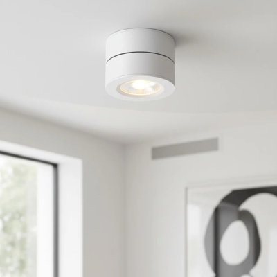 Acrylic LED Flush Mount